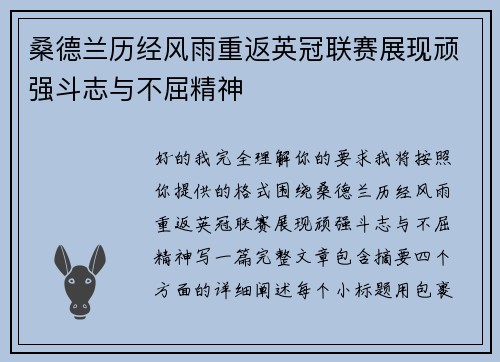 桑德兰历经风雨重返英冠联赛展现顽强斗志与不屈精神